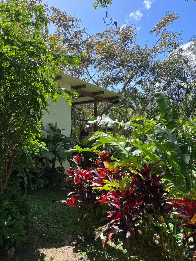 Casa Grimaldo Bed & Breakfast El Valle de Anton Exterior photo